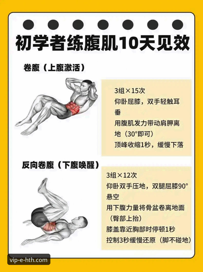 HTH华体会新手教程 HTH华体会新手教程最新动态:从零开始的体育平台入门指南